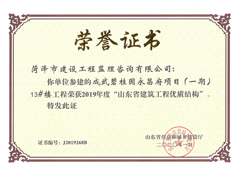 成武碧桂园永昌府项目（一期）