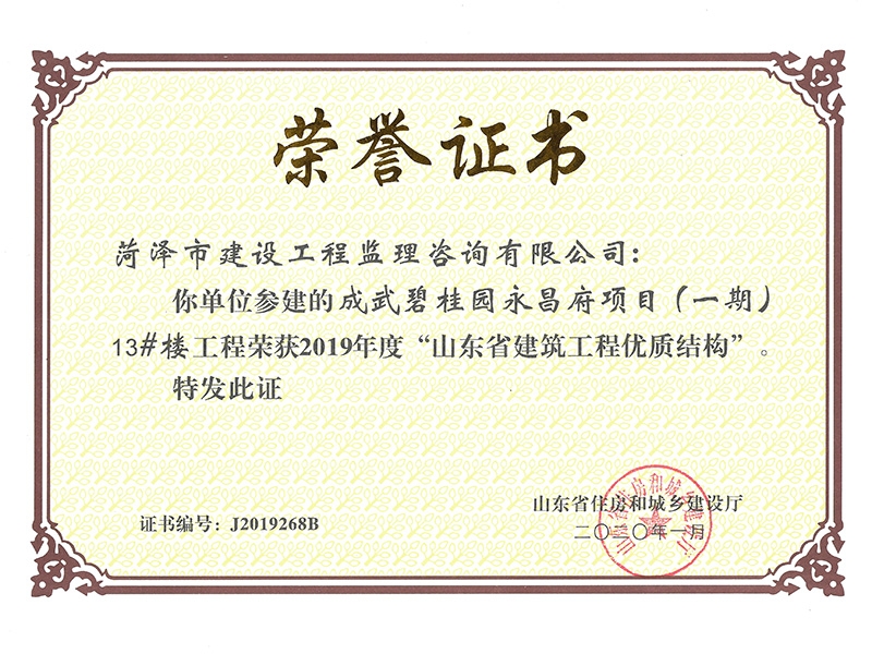 成武碧桂园永昌府项目（一期）