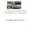 菏泽市建设工程监理咨询有限公司简报(55)