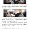 菏泽市建设工程监理咨询有限公司简报(56)