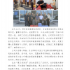 菏泽市建设工程监理咨询有限公司简报(146) 